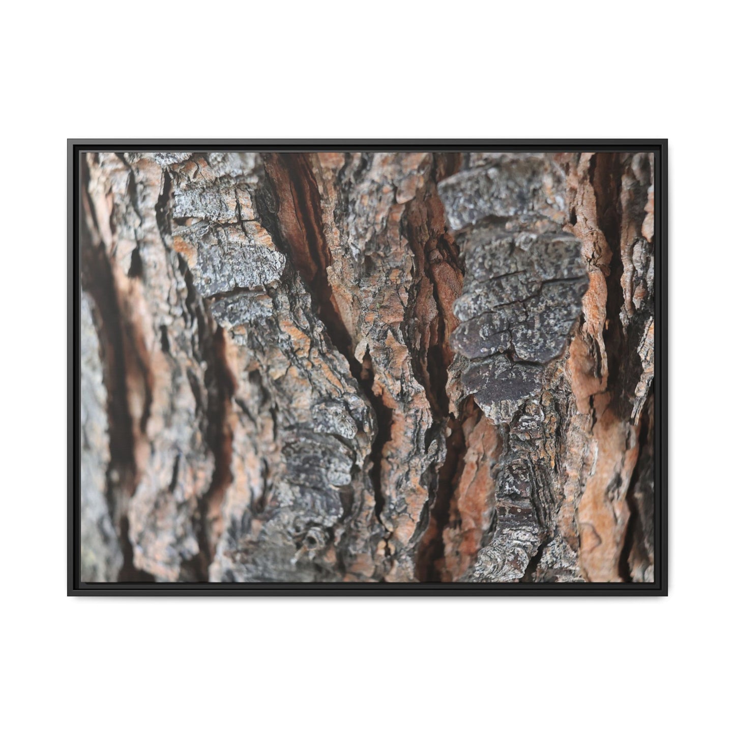 Fractured Nature - Unique Stretched Canvas Wall Art