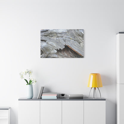 Whispers of Ancient Wood - Unique Frameless Canvas Wall Art