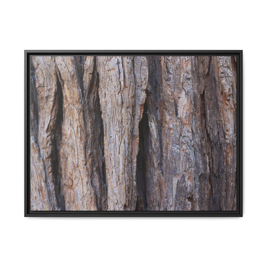 Ancient Grains - Unique Stretched Canvas Wall Art