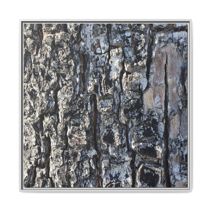 The Bark Chronicles - Unique Stretched Canvas Wall Art