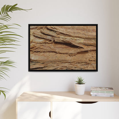 Splintered Bark - Unique Stretched Canvas Wall Art