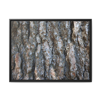 Bark Whispers - Unique Stretched Canvas Wall Art