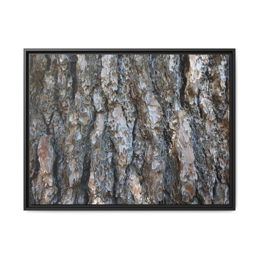 Bark Whispers - Unique Stretched Canvas Wall Art