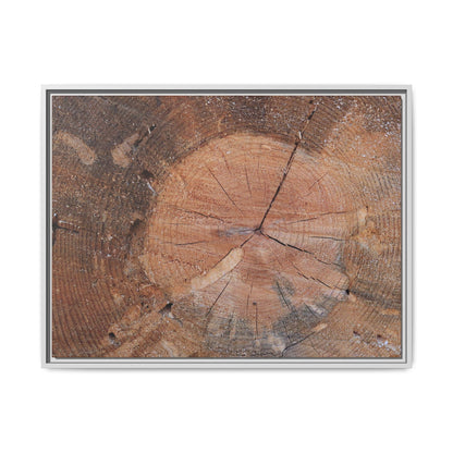 Concentric Memories - Unique Stretched Canvas Wall Art