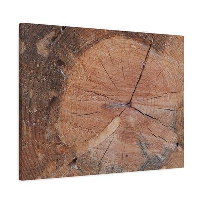 Timber Tale - Unique Frameless Canvas Wall Art