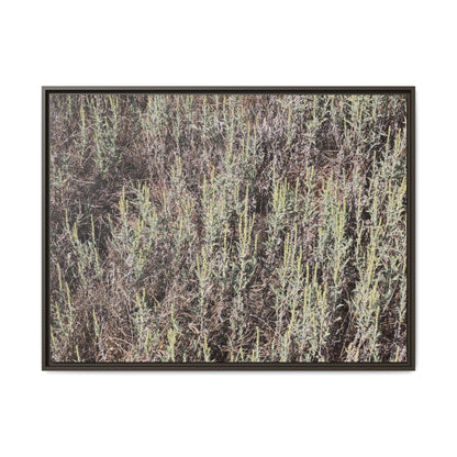 Sage Fields Forever - Unique Stretched Canvas Wall Art - Art By Earth