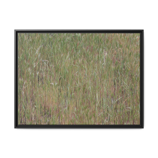 Field of Dreams - Unique Stretched Canvas Wall Art