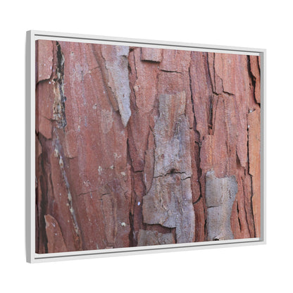 Peeling Bark - Unique Stretched Canvas Wall Art