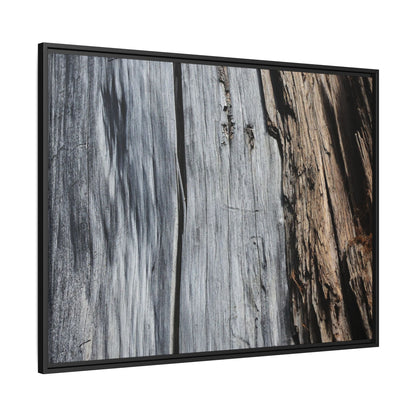 Wood's Lament - Unique Stretched Canvas Wall Art
