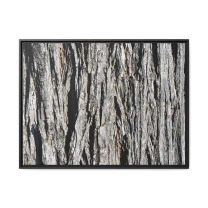 Nature's Abstract - Unique Stretched Canvas Wall Art