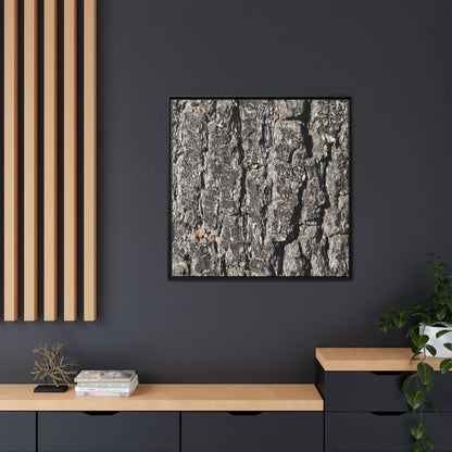 Bark Study in Gray - Unique Stretched Canvas Wall Art