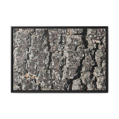 Bark Study in Gray - Unique Stretched Canvas Wall Art