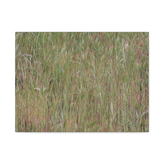 Whispers of the Prairie - Unique Frameless Canvas Wall Art