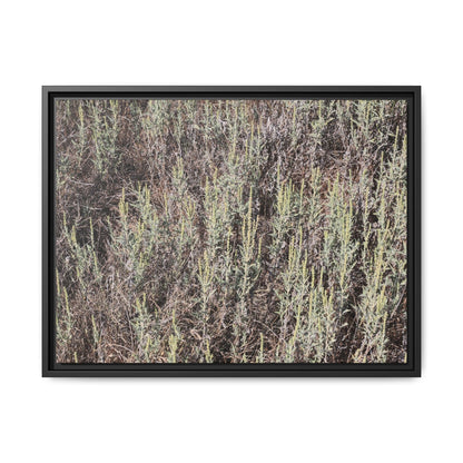 Sage Fields Forever - Unique Stretched Canvas Wall Art - Art By Earth