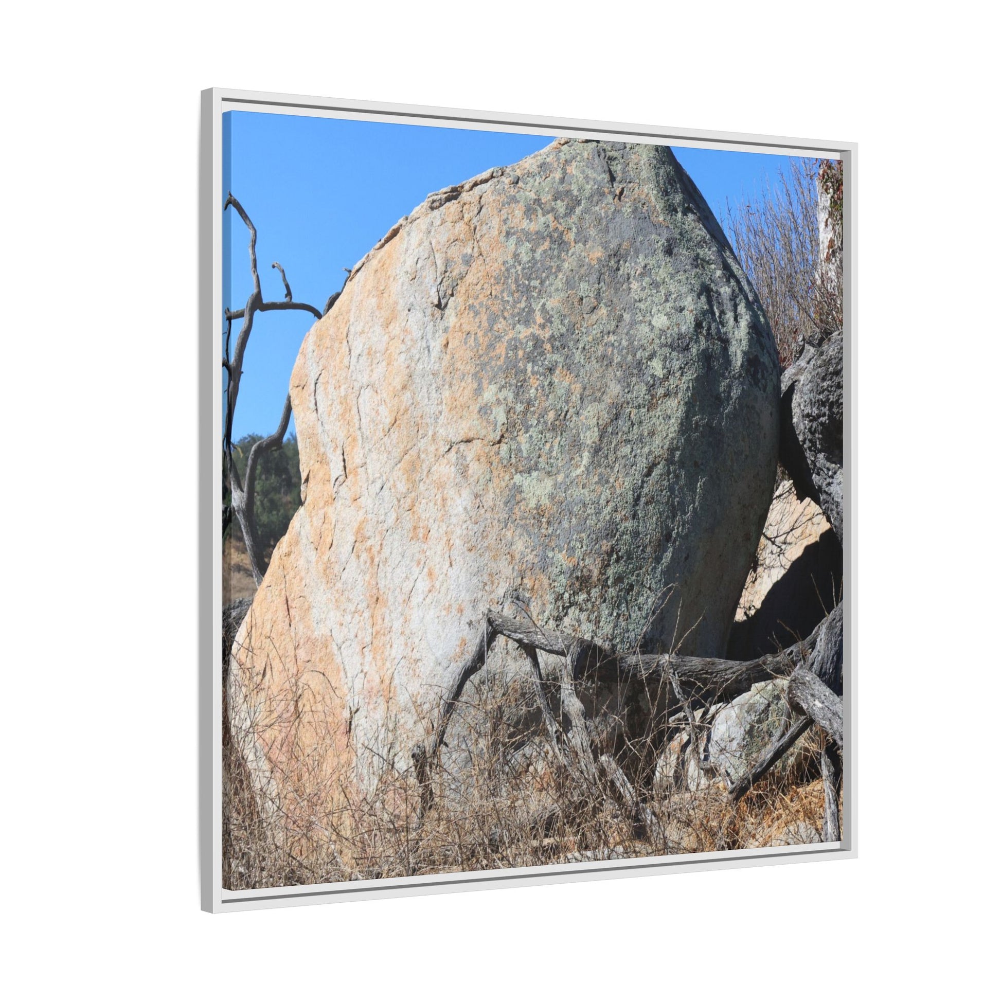 Stony Sentinel - Unique Stretched Canvas Wall Art - Art By Earth