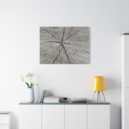 Cracked Chronicle - Unique Frameless Canvas Wall Art