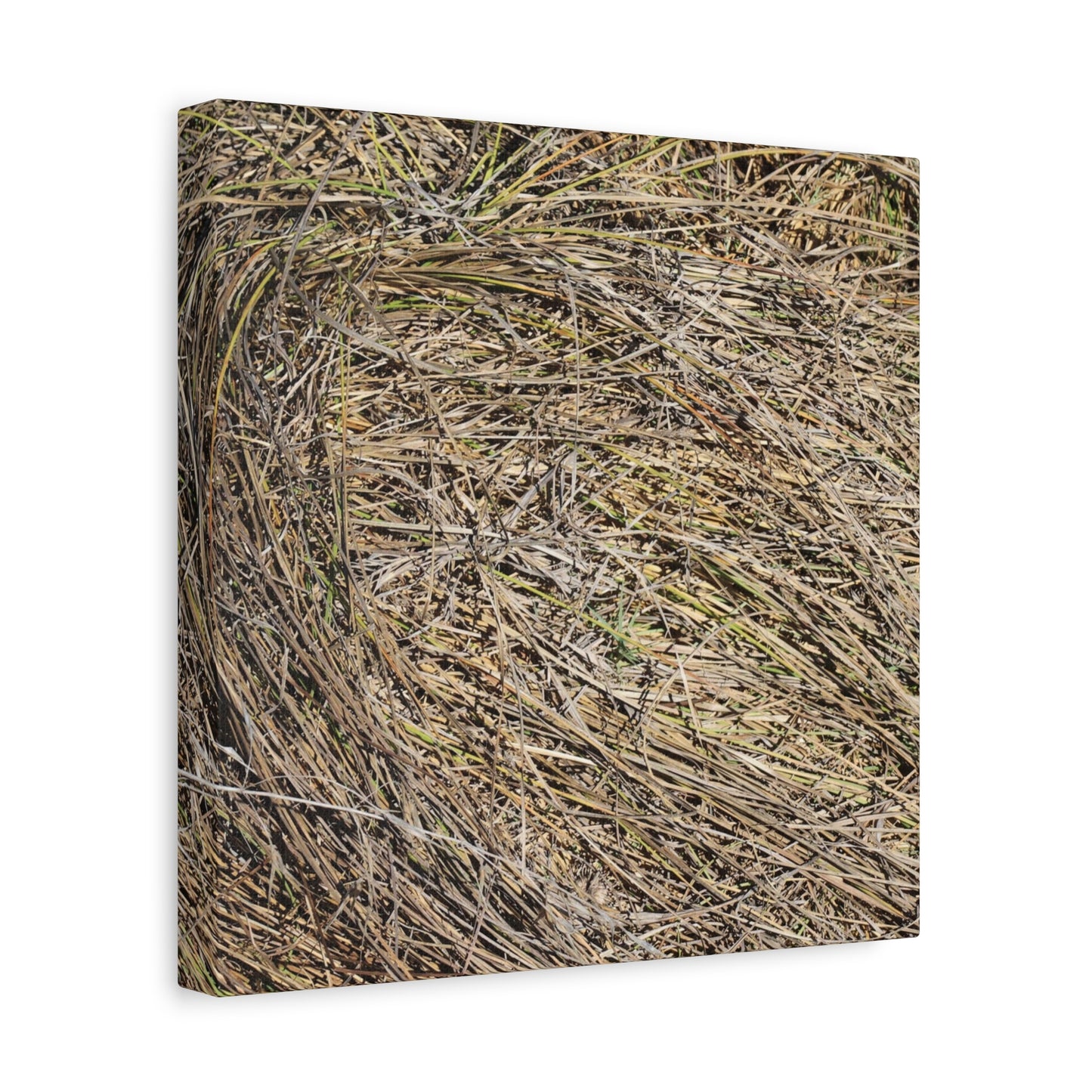 Tangled Hay - Unique Stretched Canvas Wall Art - Art By Earth