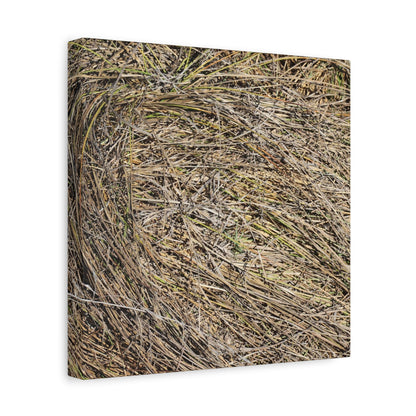 Tangled Hay - Unique Stretched Canvas Wall Art - Art By Earth