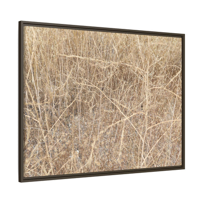 Golden Stalks - Unique Stretched Canvas Wall Art