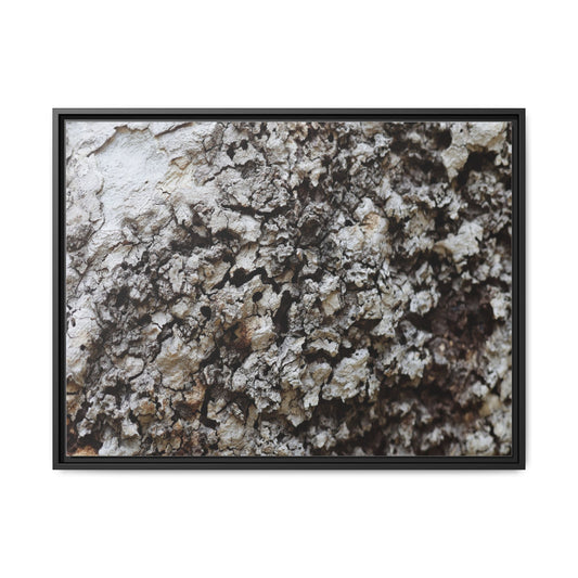 Cracked Terrain - Unique Poster Wall Art