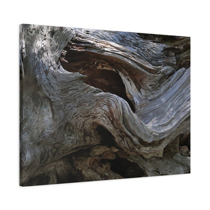 Twisted Fate - Unique Frameless Canvas Wall Art