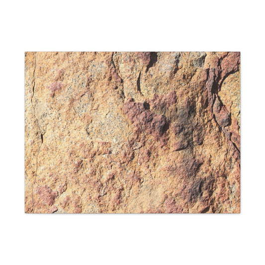 Terracotta Tears - Unique Frameless Canvas Wall Art