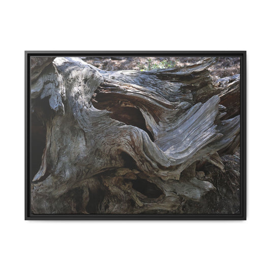 Twisted Memories - Unique Stretched Canvas Wall Art