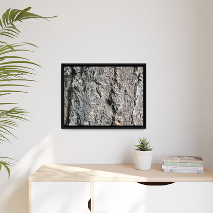 Crusty Exterior - Unique Stretched Canvas Wall Art
