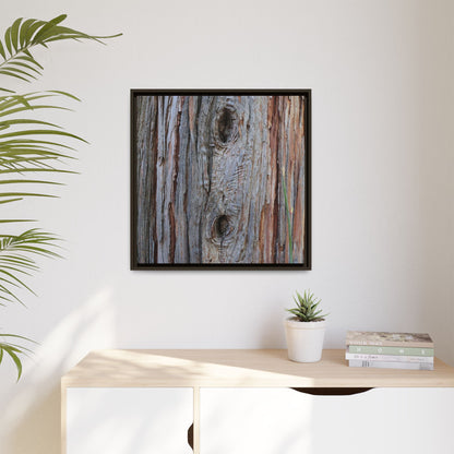 Knotty Nature - Unique Stretched Canvas Wall Art