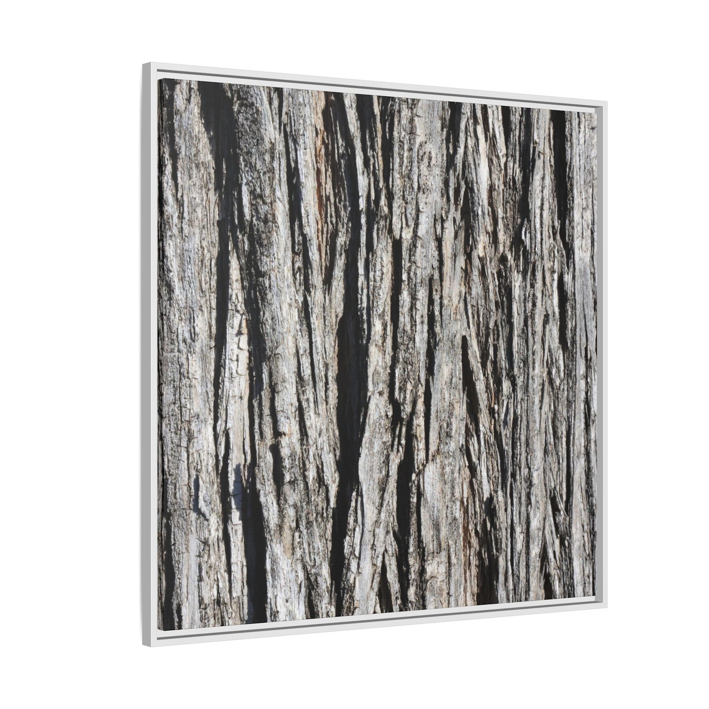Bark Lines - Unique Stretched Canvas Wall Art