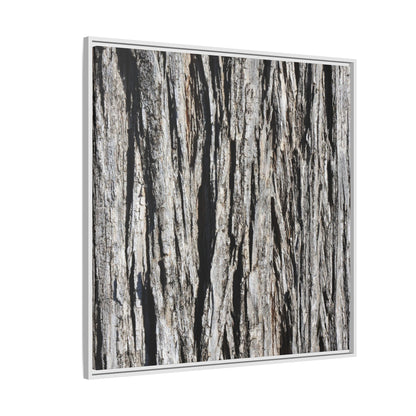 Bark Lines - Unique Stretched Canvas Wall Art