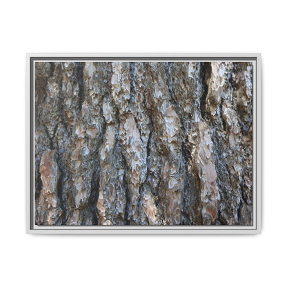 Bark Whispers - Unique Stretched Canvas Wall Art