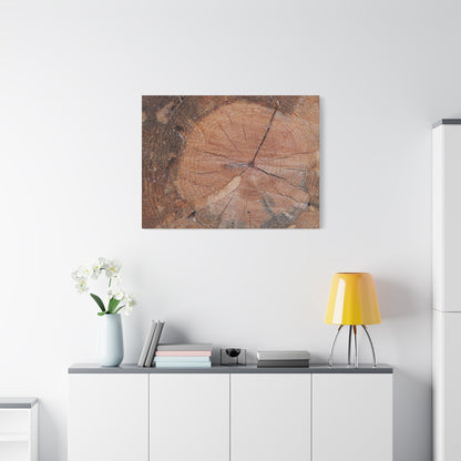 Timber Tale - Unique Frameless Canvas Wall Art