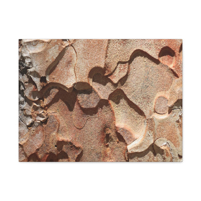 Terracotta Echoes - Unique Frameless Canvas Wall Art