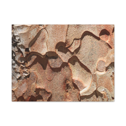 Terracotta Echoes - Unique Frameless Canvas Wall Art