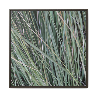 Grassland Symphony - Unique Stretched Canvas Wall Art