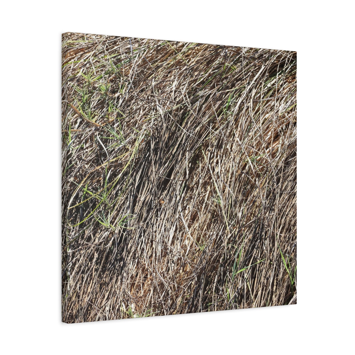 Tangled Wilderness - Unique Stretched Canvas Wall Art - Art By Earth