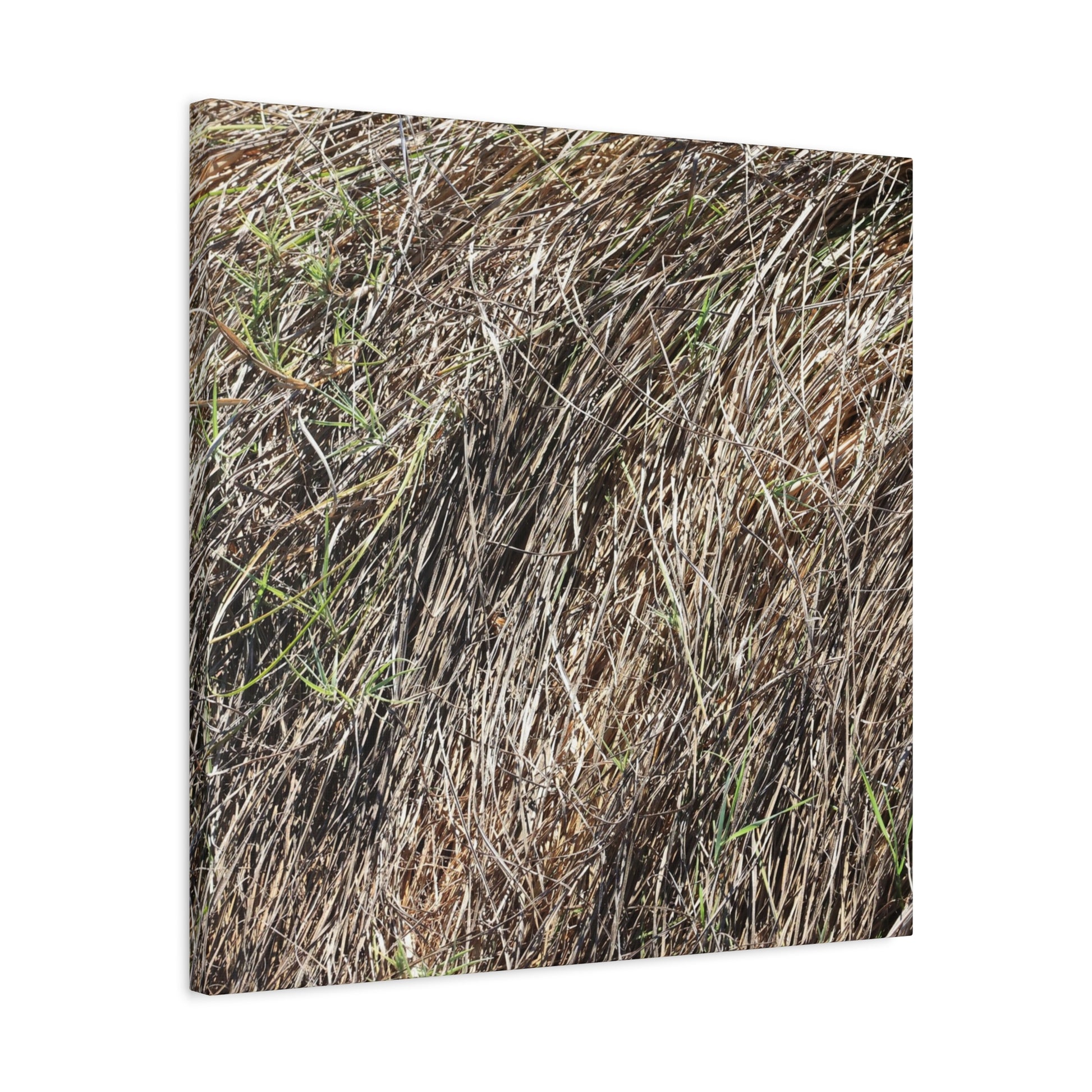 Tangled Wilderness - Unique Stretched Canvas Wall Art - Art By Earth