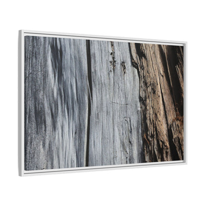 Wood's Lament - Unique Stretched Canvas Wall Art