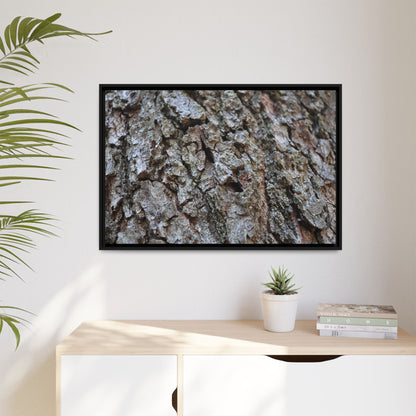 Woodland Canvas - Unique Stretched Canvas Wall Art