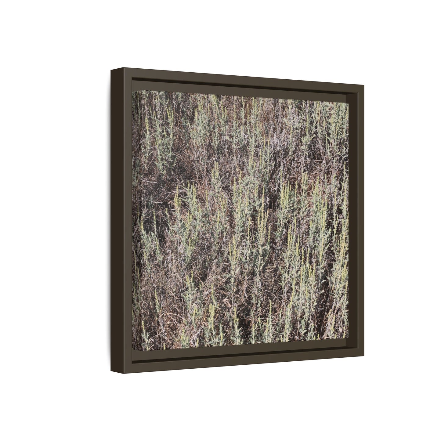 Sage Fields Forever - Unique Stretched Canvas Wall Art - Art By Earth