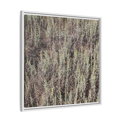 Sage Fields Forever - Unique Stretched Canvas Wall Art - Art By Earth