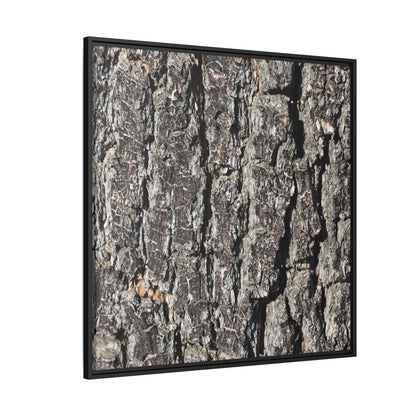 Bark Study in Gray - Unique Stretched Canvas Wall Art
