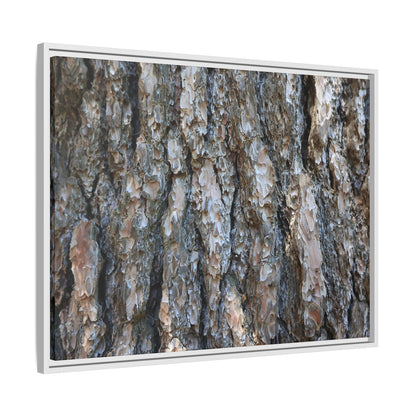 Bark Whispers - Unique Stretched Canvas Wall Art