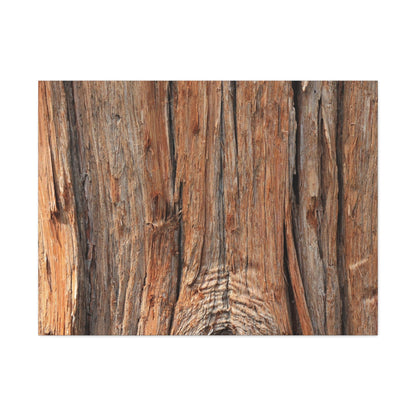 Bark's Ancient Whispers - Unique Frameless Canvas Wall Art