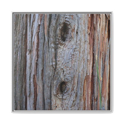Knotty Nature - Unique Stretched Canvas Wall Art