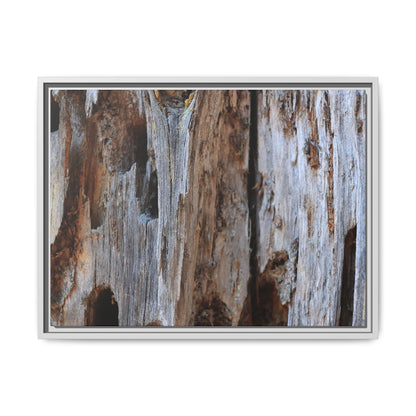Decaying Splendor - Unique Stretched Canvas Wall Art