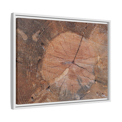 Concentric Memories - Unique Stretched Canvas Wall Art