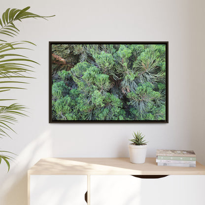 Verdant Whispers - Unique Stretched Canvas Wall Art