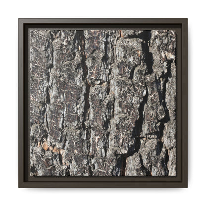 Bark Study in Gray - Unique Stretched Canvas Wall Art
